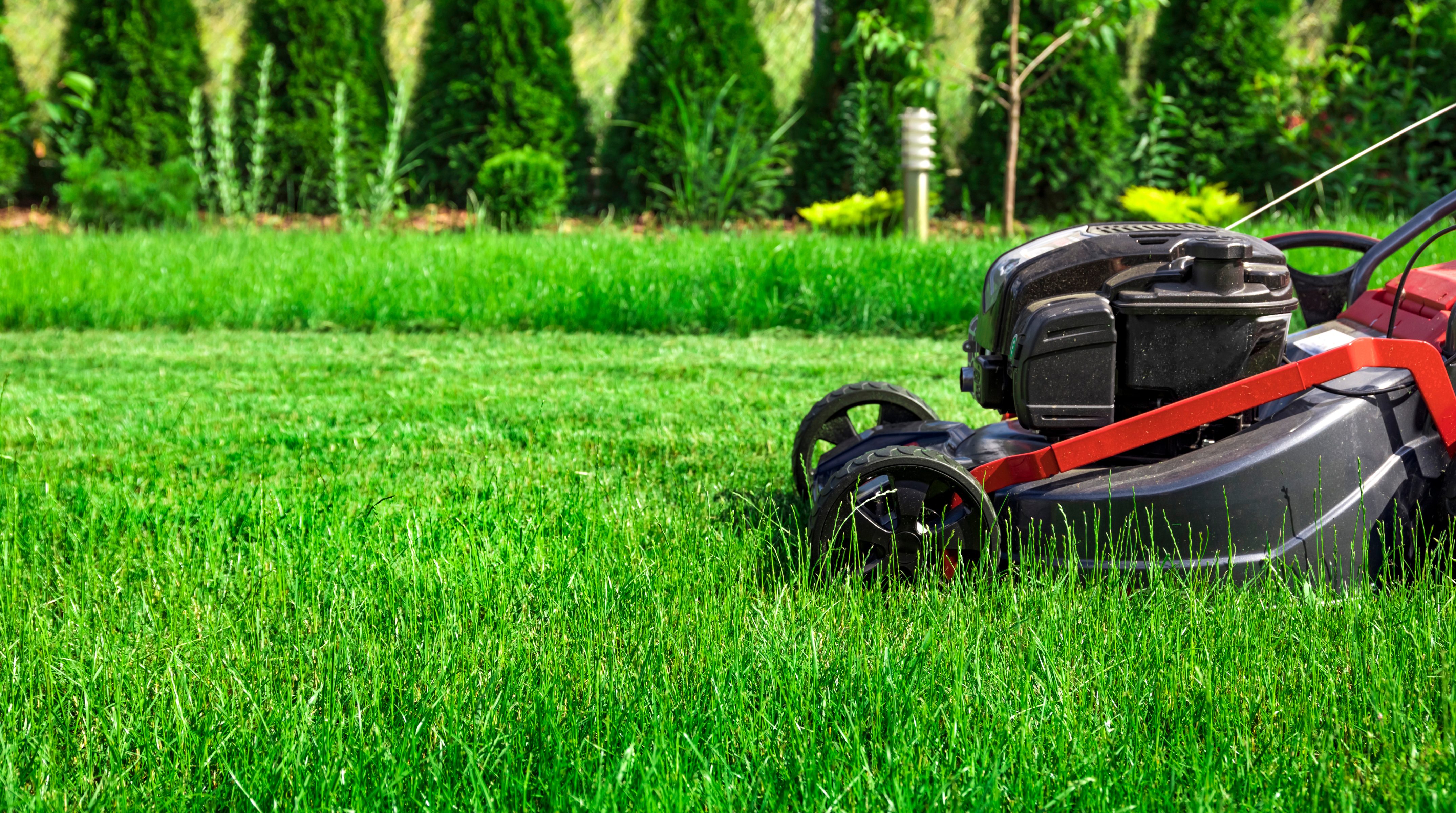 Lawn Mowing